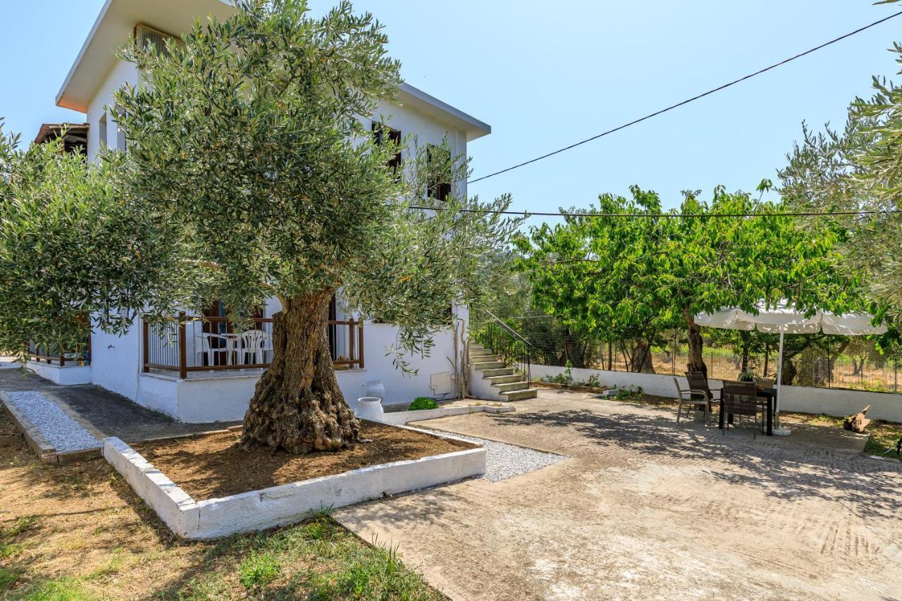 Skopelos Evergreen Apartments Stafylos Exterior photo