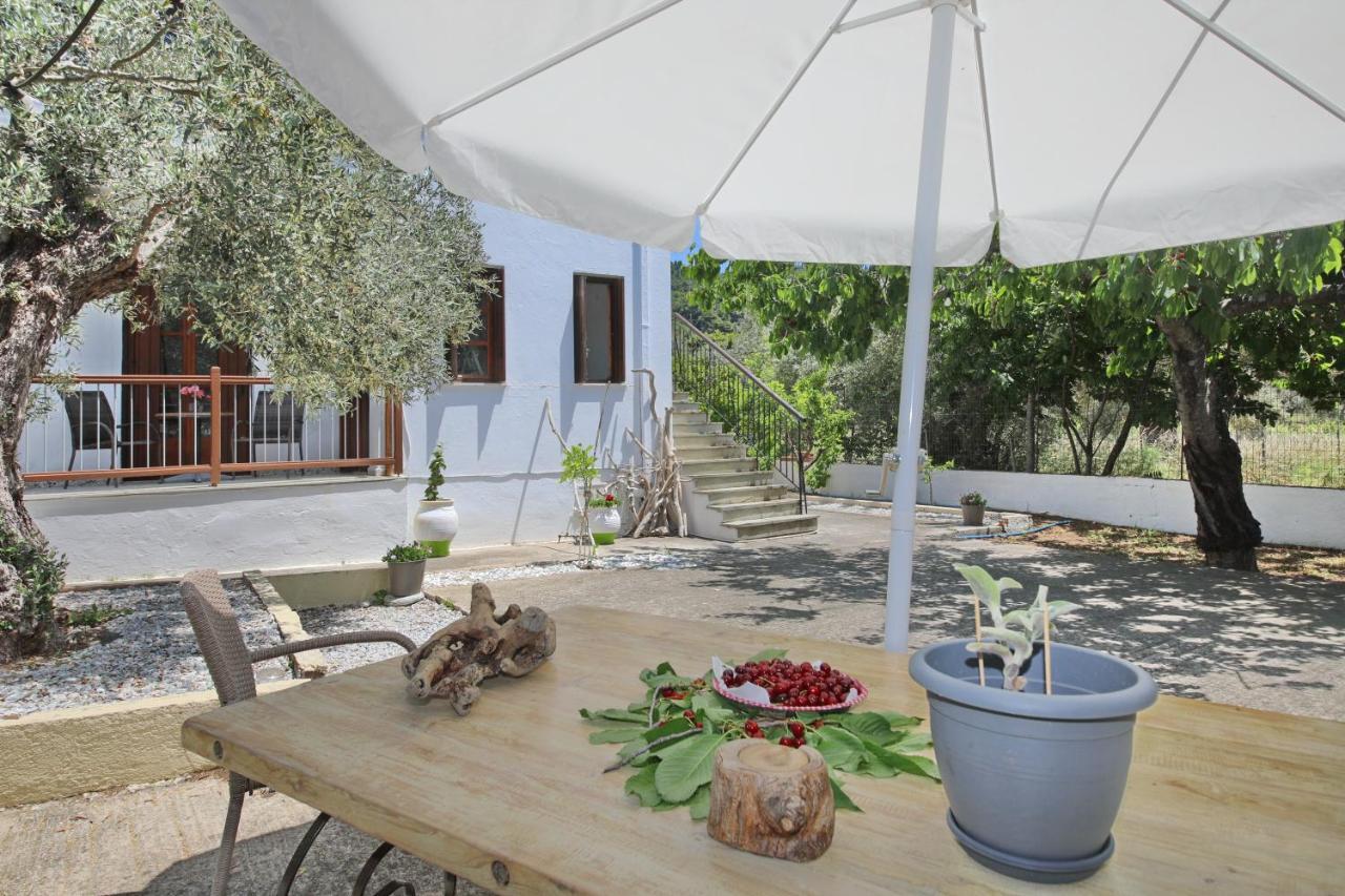 Skopelos Evergreen Apartments Stafylos Exterior photo