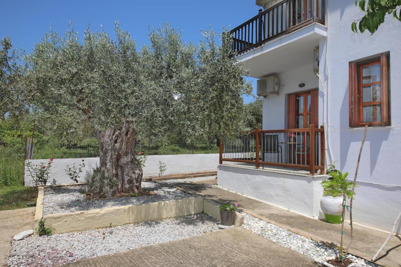 Skopelos Evergreen Apartments Stafylos Exterior photo