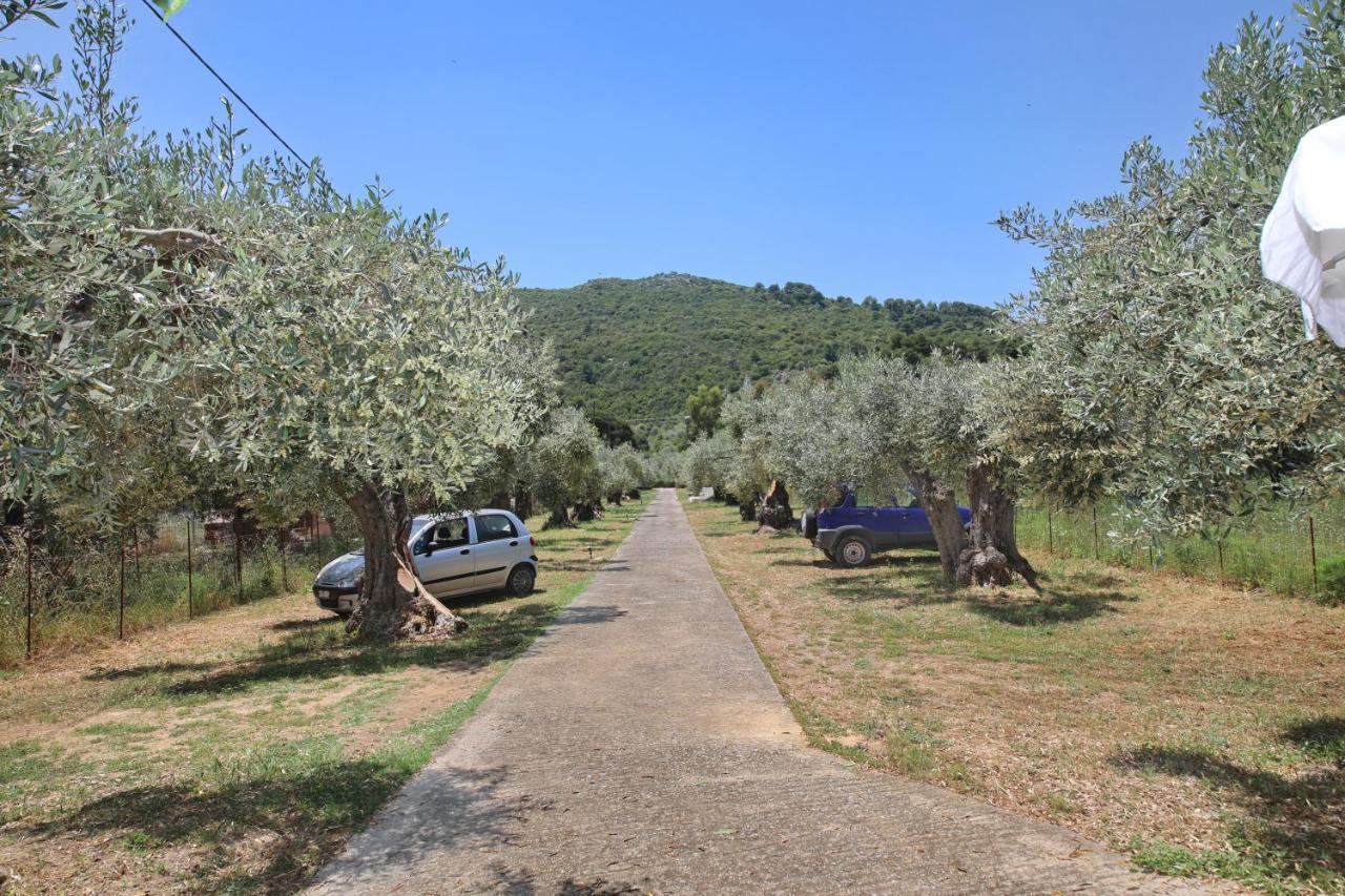 Skopelos Evergreen Apartments Stafylos Exterior photo