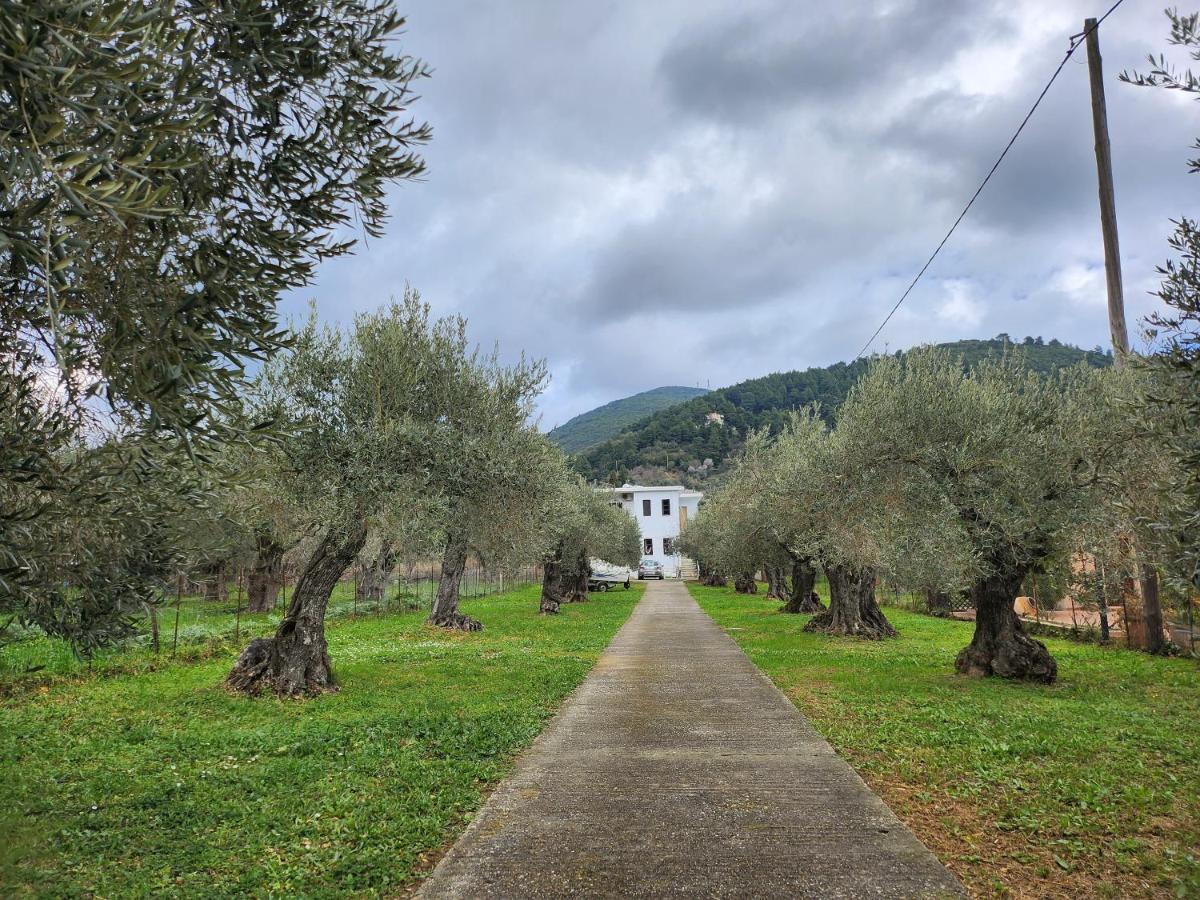 Skopelos Evergreen Apartments Stafylos Exterior photo